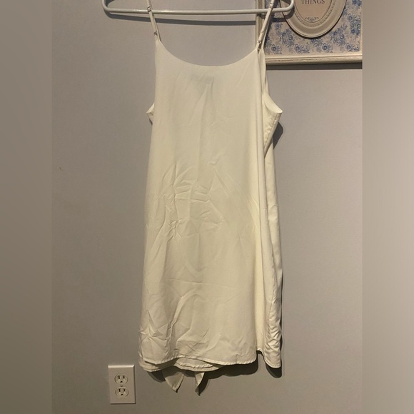 Naked Zebra Dress - Picture 3 of 3